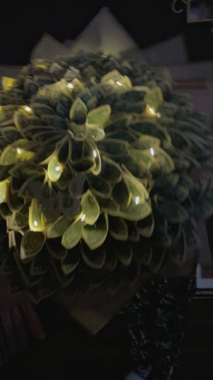 Luxury “Money” Bouquet – Realistic, Decorative Bills